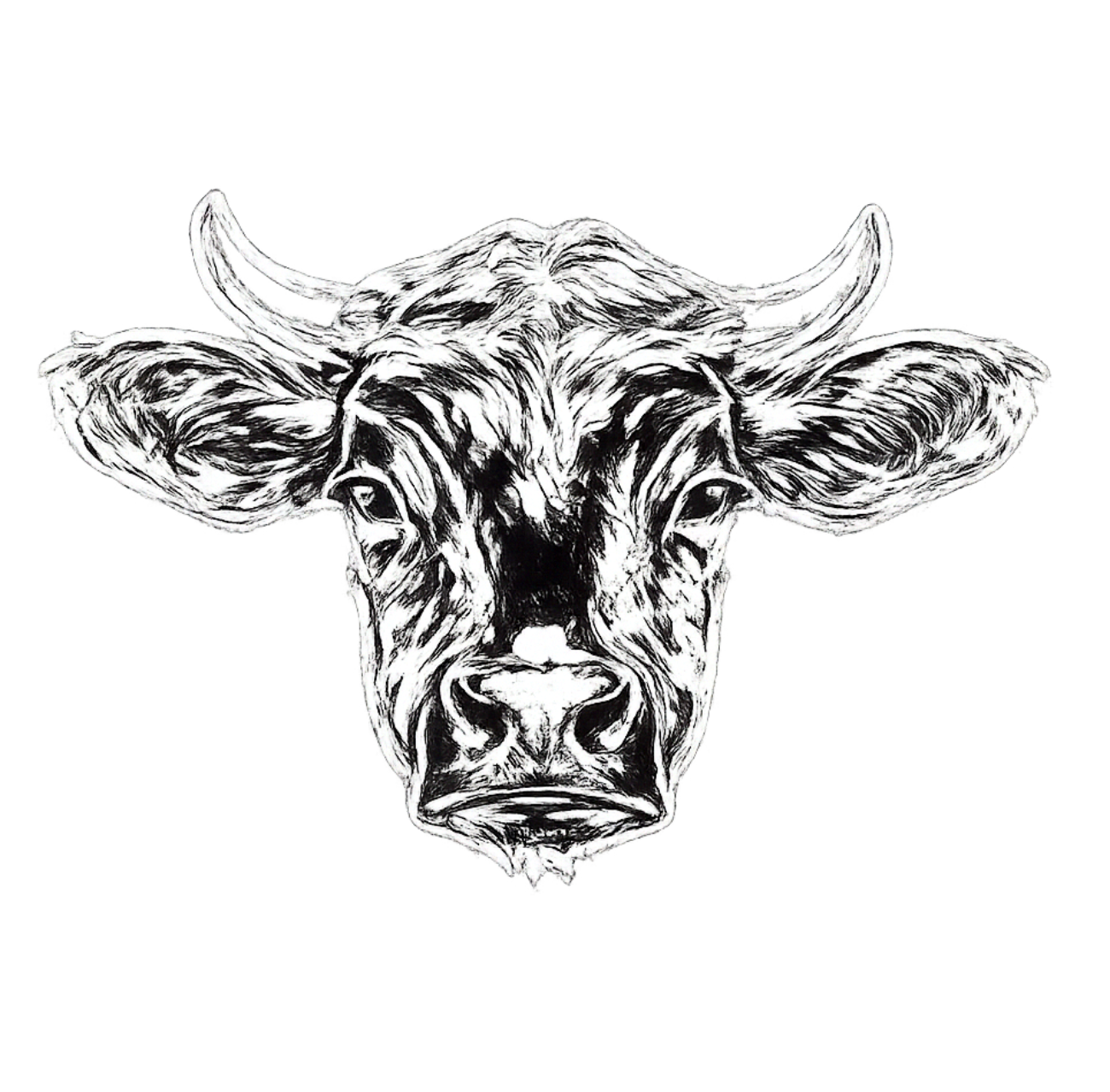 Côte de Boeuf
